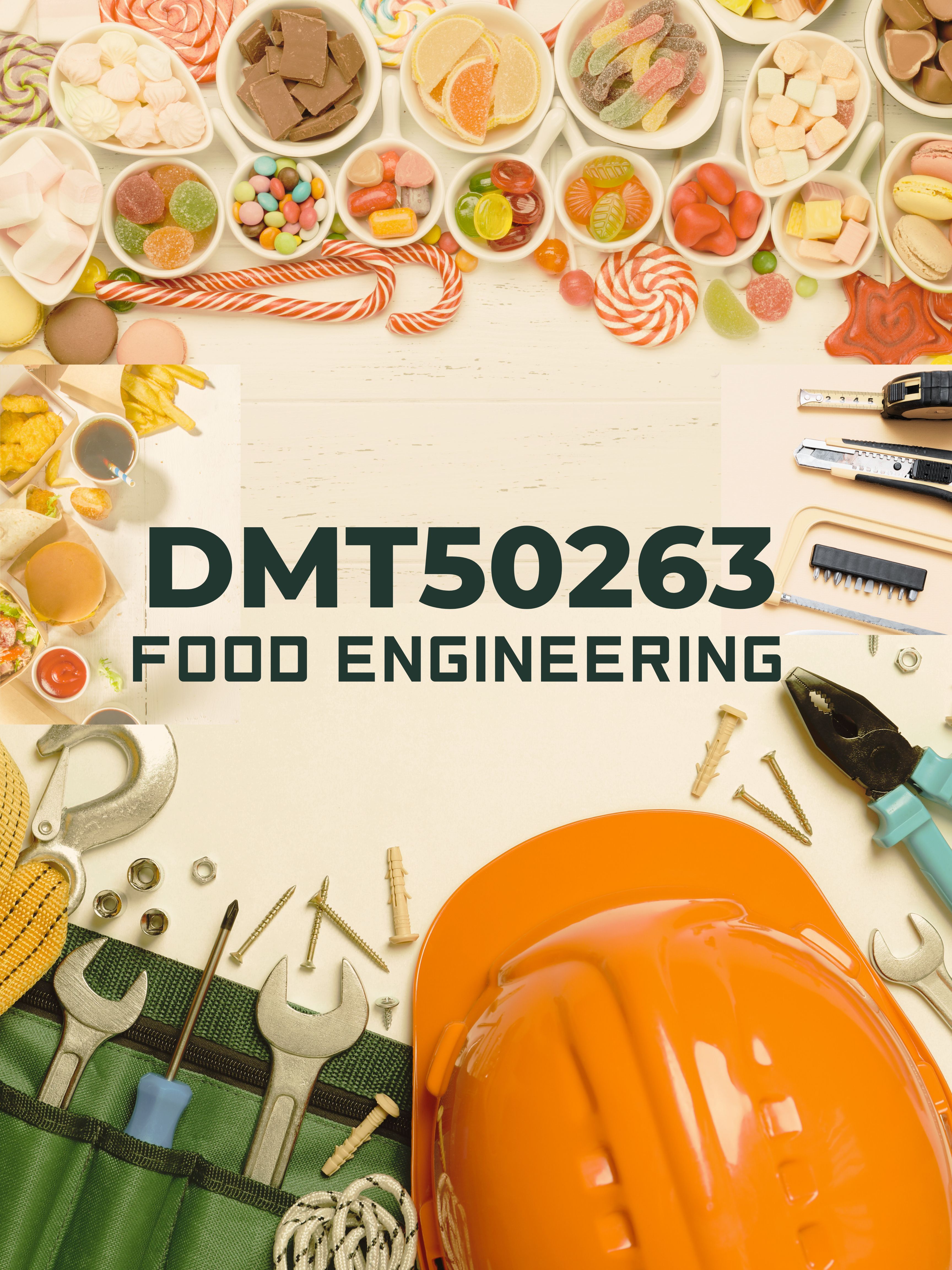 DMT50263-FOOD ENGINEERING